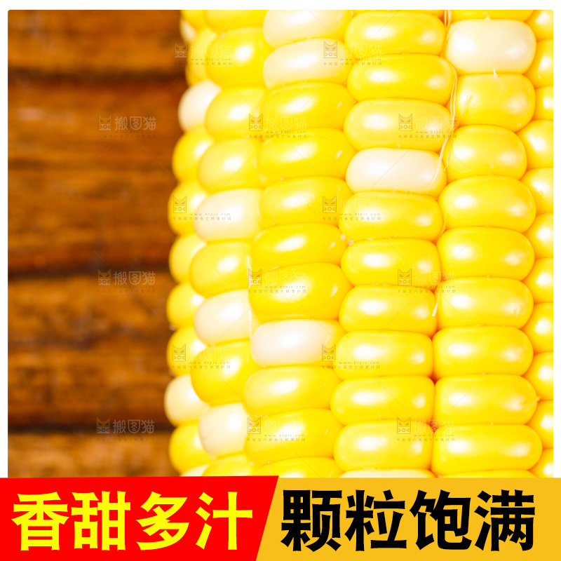 云南水果甜玉米放在木底上