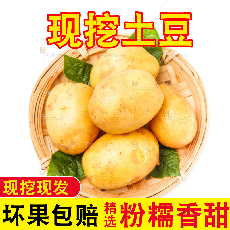 一盘新鲜土豆放在白底上