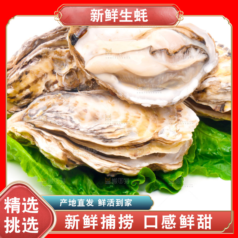 白底上放着乳山生蚝