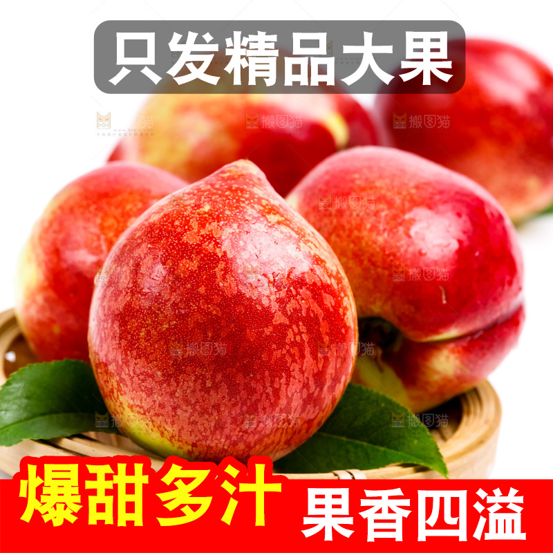 新鲜油桃放在白底上