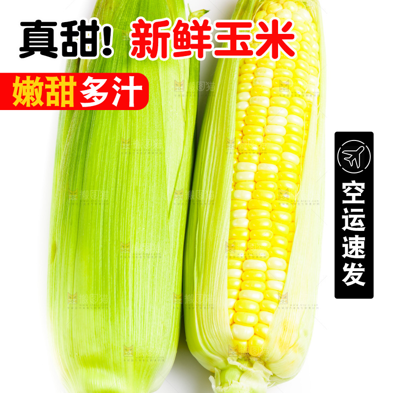 白底上放着新鲜玉米