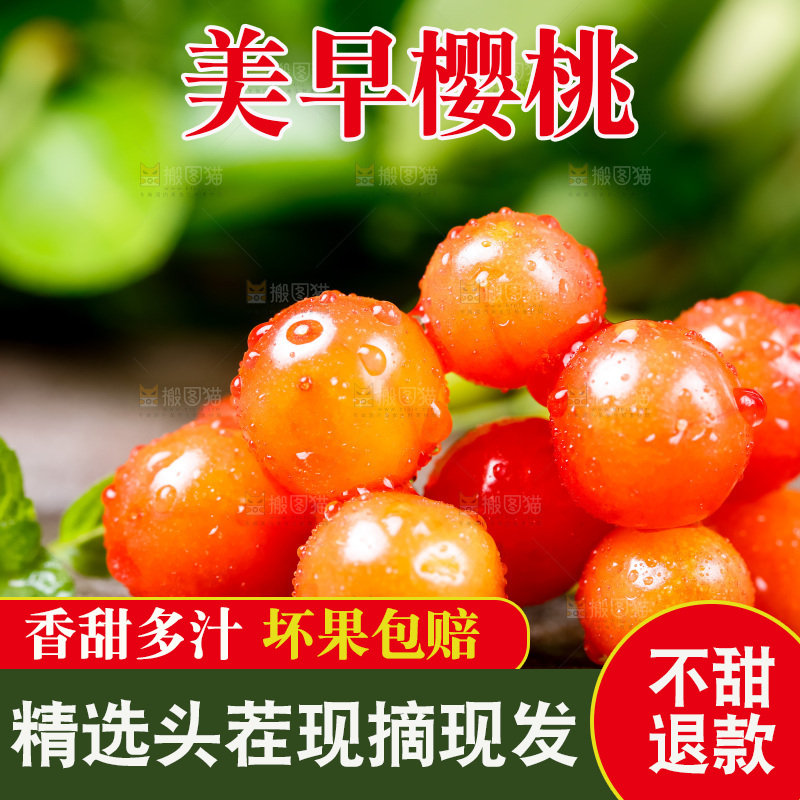 木底上放着烟台水晶黄樱桃