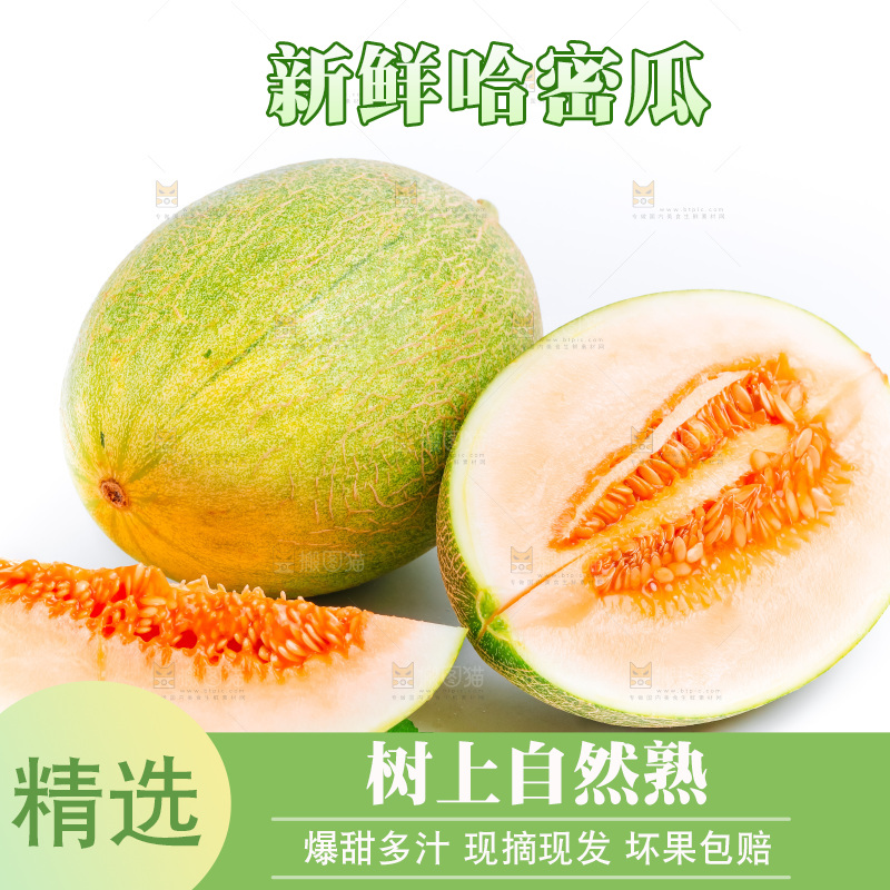 新鲜哈密瓜放在白底上