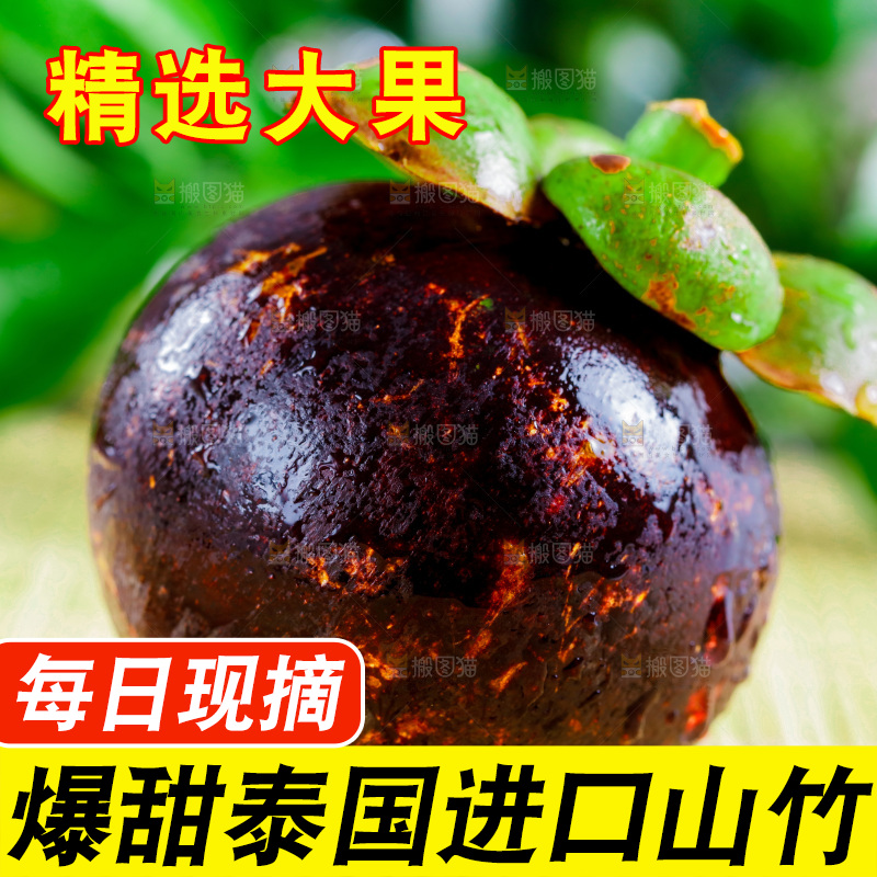 木底上的山竹