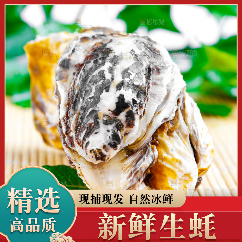木底上放着乳山生蚝