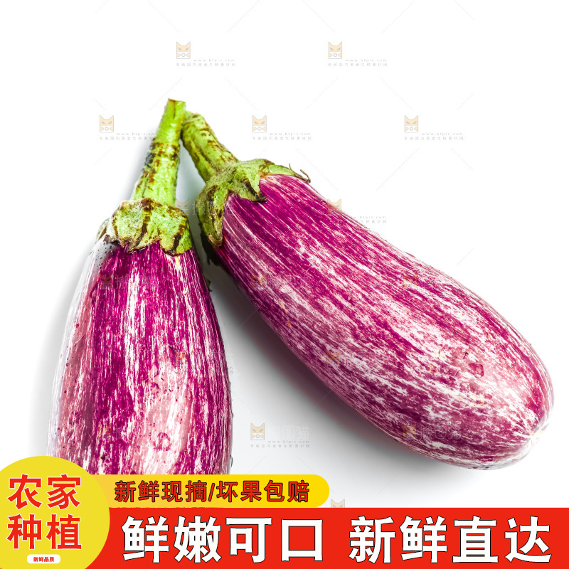白底上的茄子