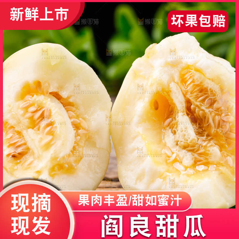 新鲜阎良甜瓜放在木底上