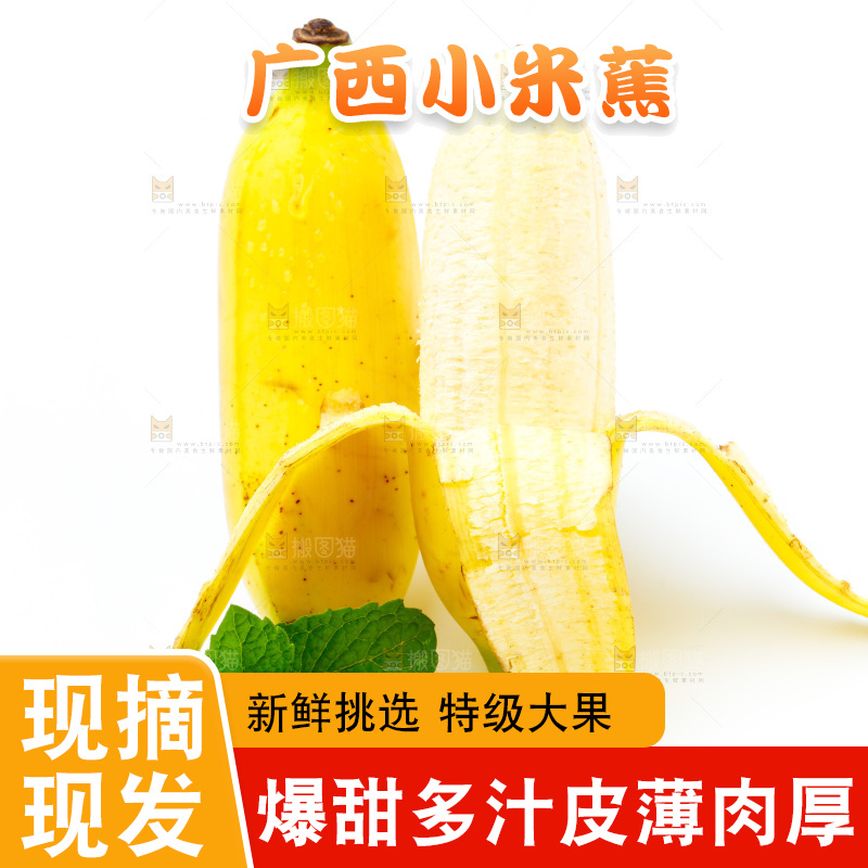 白底上放着广西小米蕉