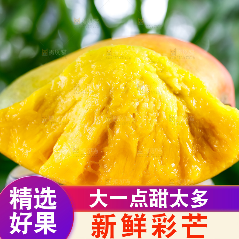 浅底上的彩芒