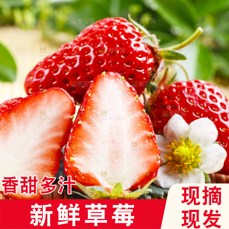 木底上放着丹东草莓