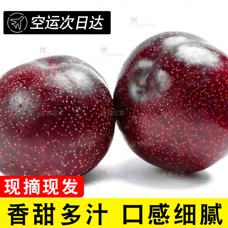 白底上的黑布林