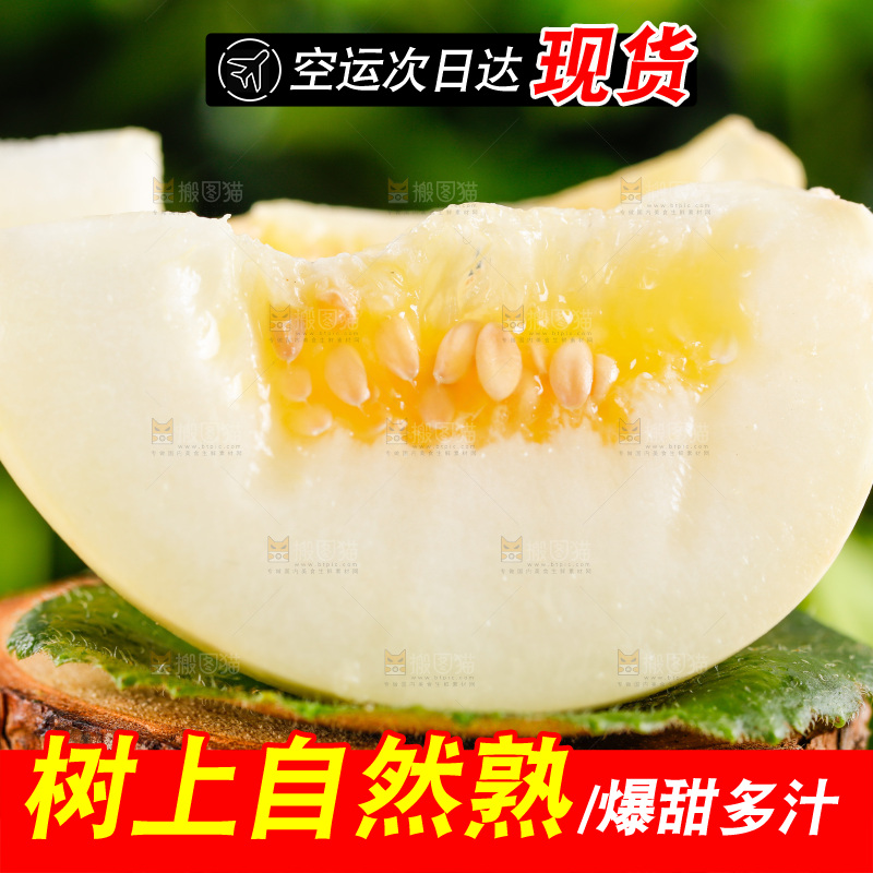 浅底上的新鲜甜瓜
