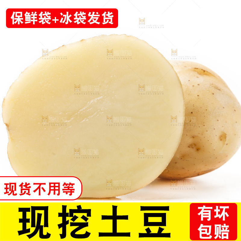 新鲜土豆放在白底上