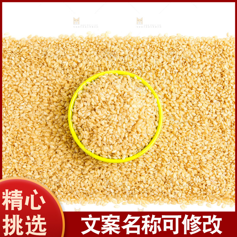 东北糙米放在白底上