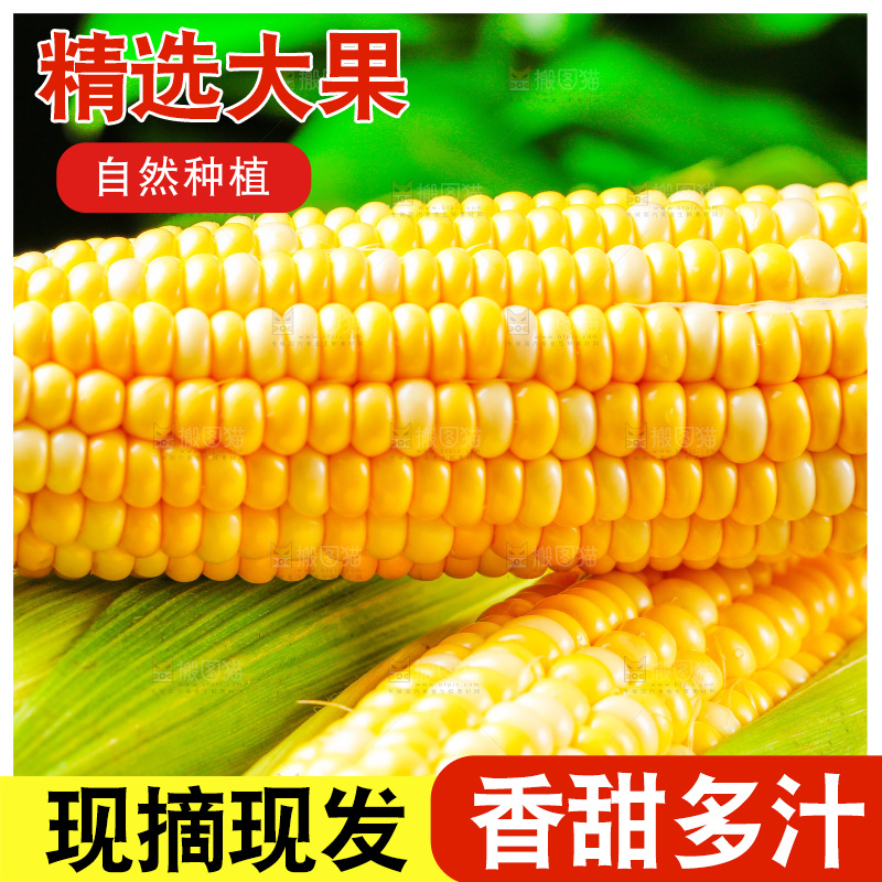 木底上的新鲜玉米