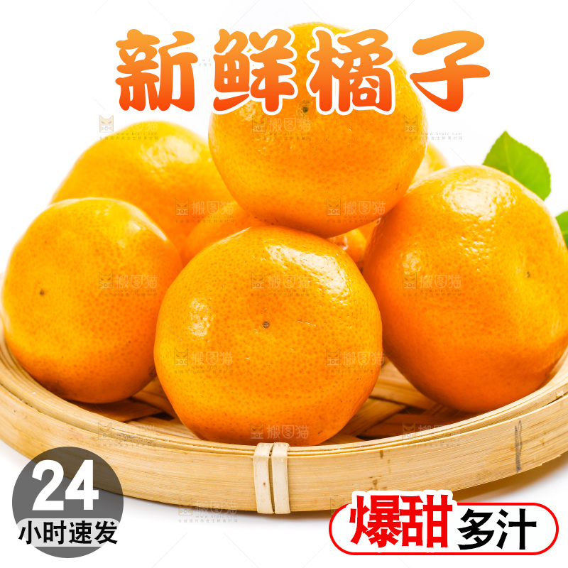 新鲜橘子放在白底上