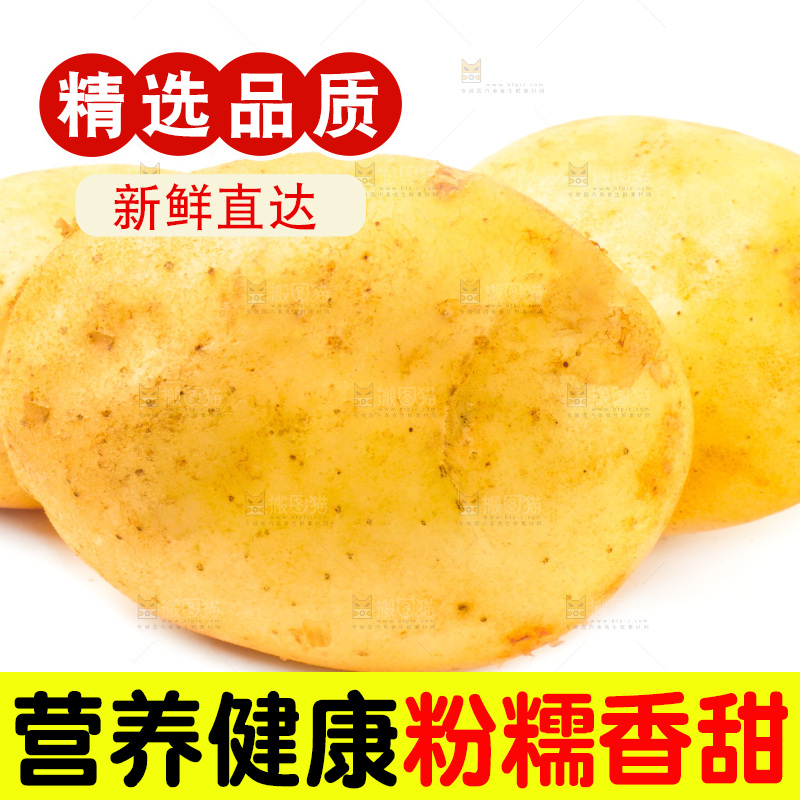 白底上的新鲜土豆
