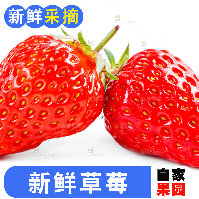 白底上放着99草莓