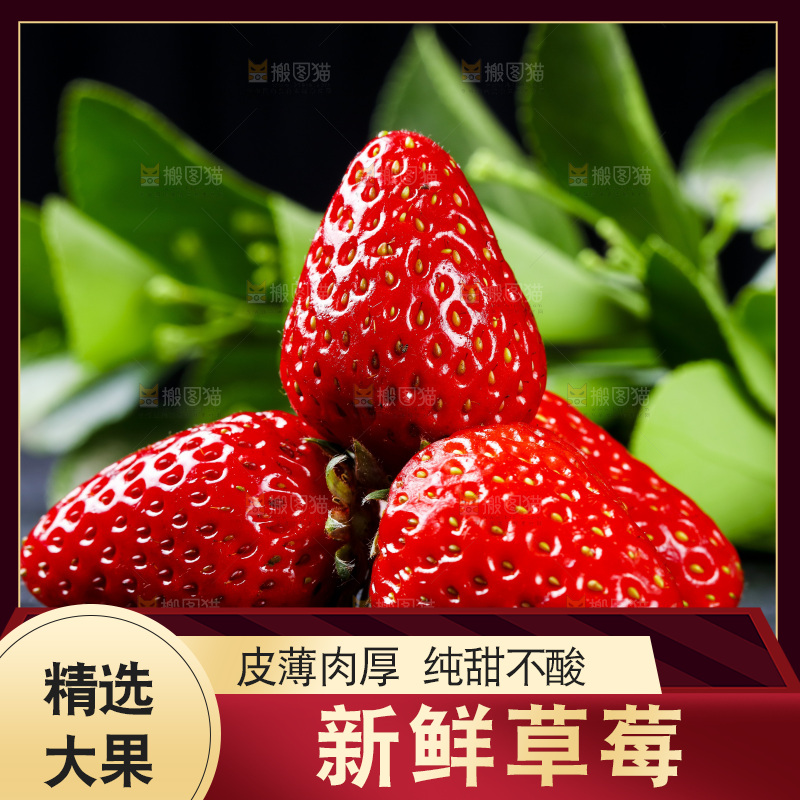 丹东草莓放在深底上