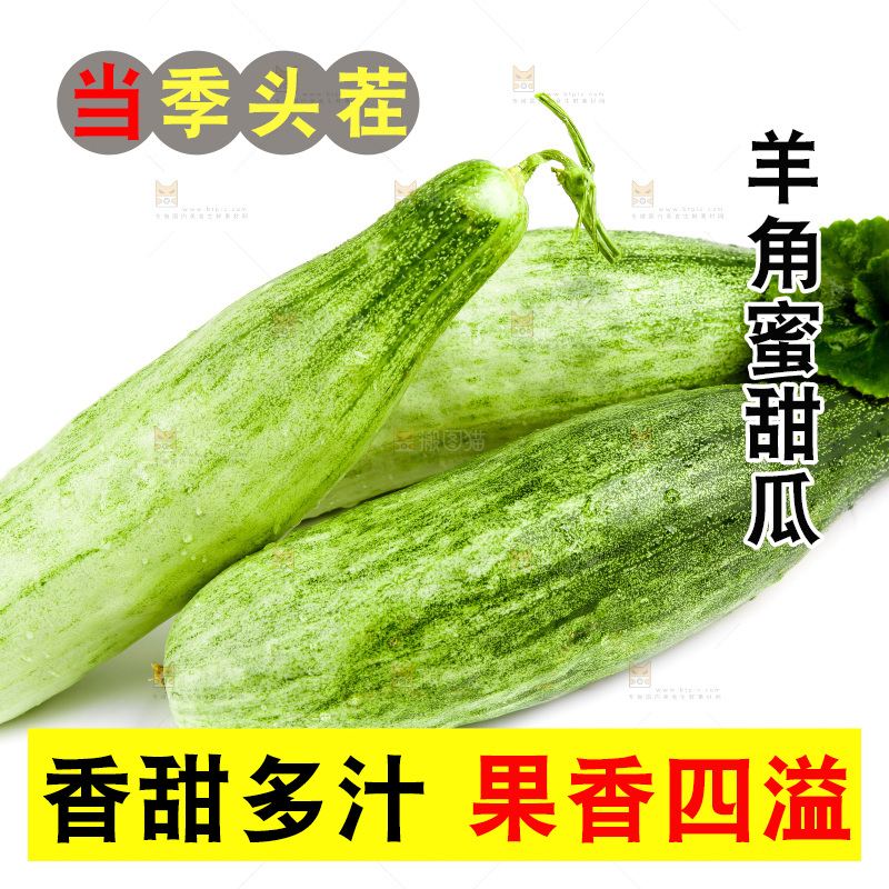 白底上的山东羊角蜜甜瓜