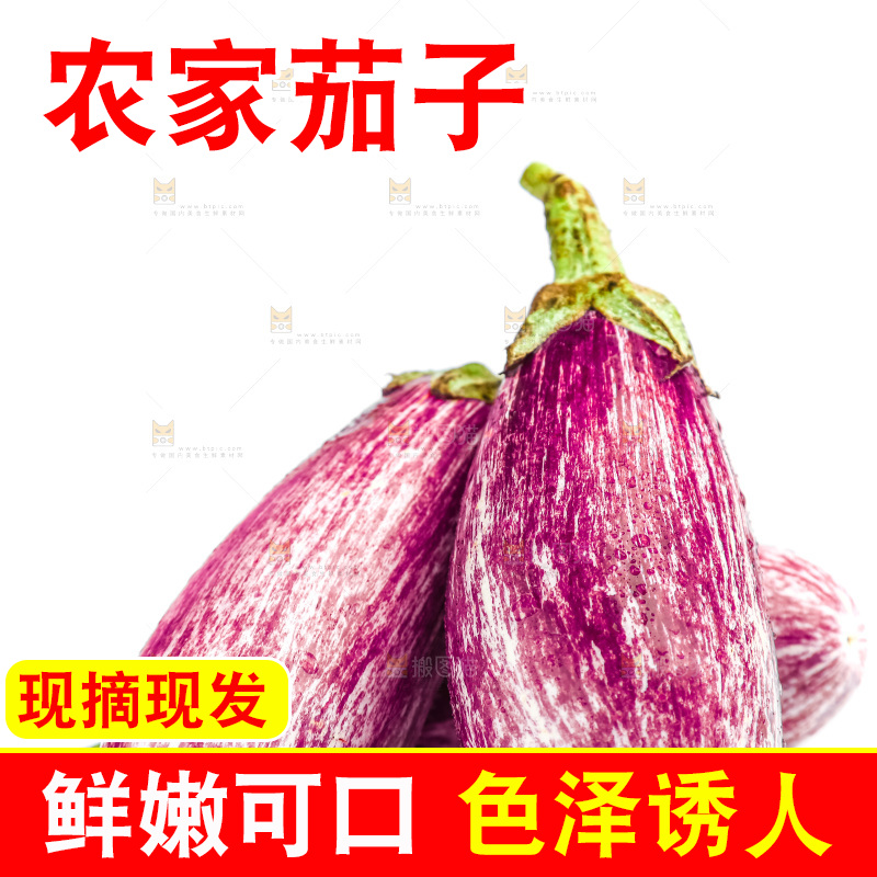 白底上的茄子