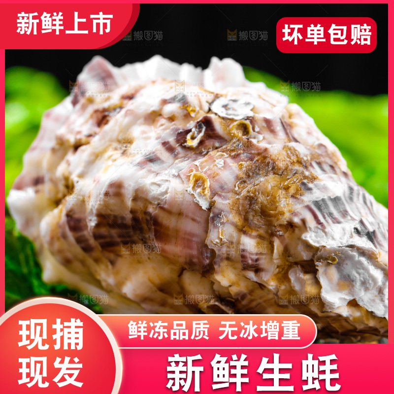 木底上放着生蚝