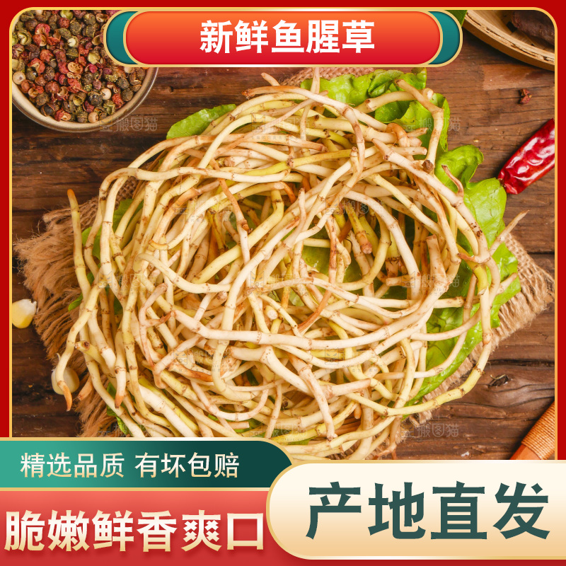 木底上的鱼腥草