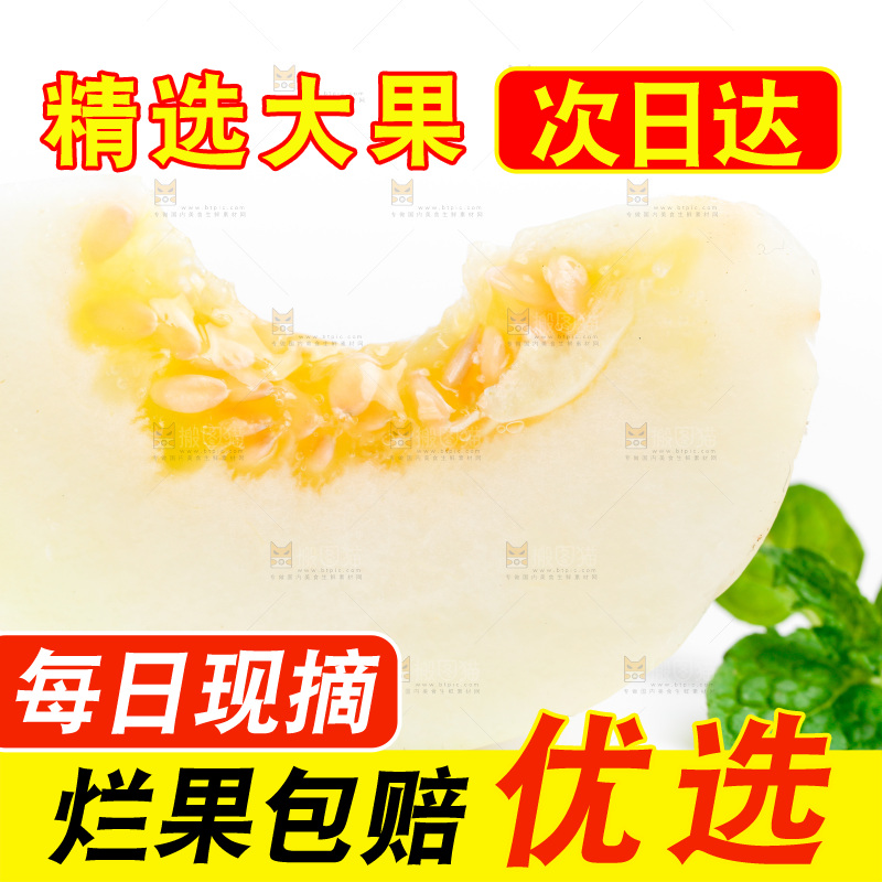 白底上的阎良甜瓜