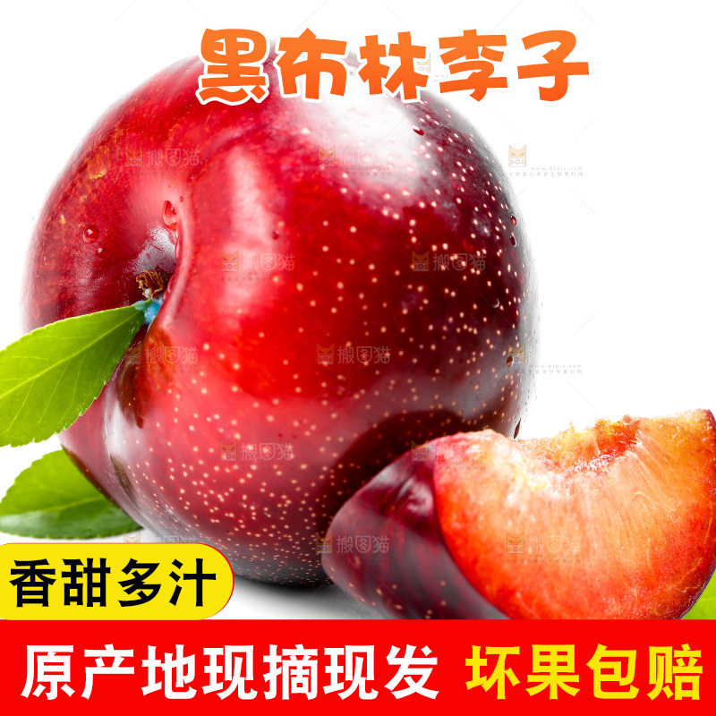 白底上的黑布林