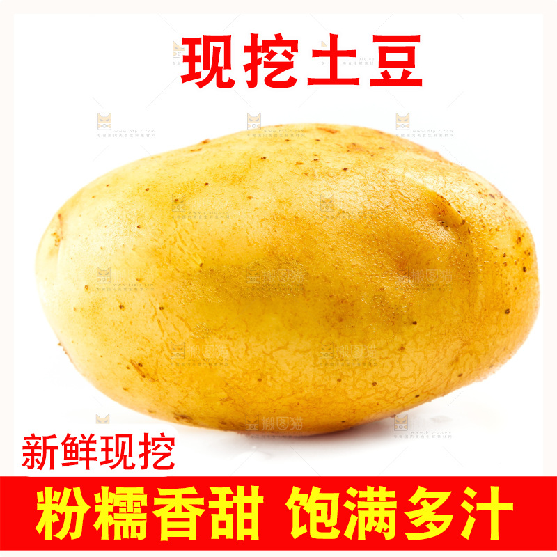 新鲜土豆放在白底上