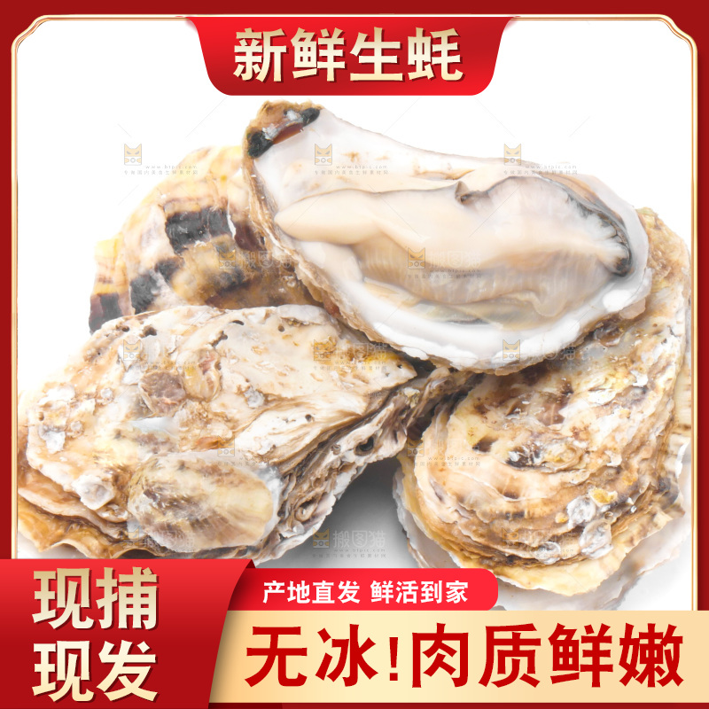 浅底上的生蚝