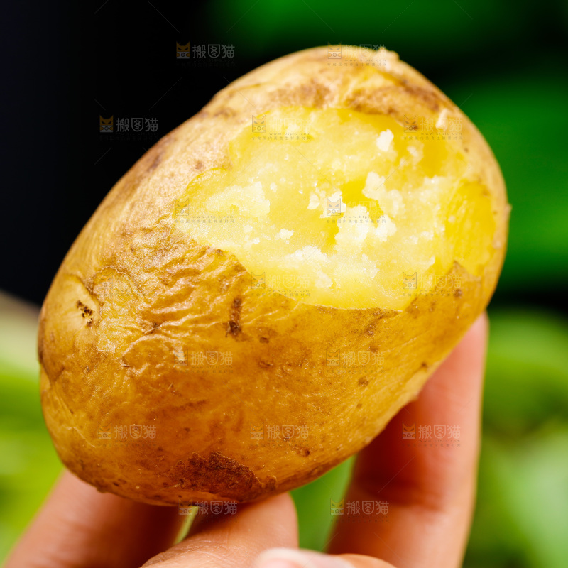 手拿黄心土豆