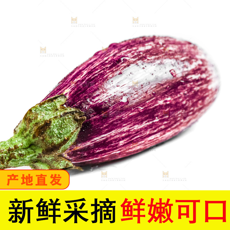 白底上的茄子