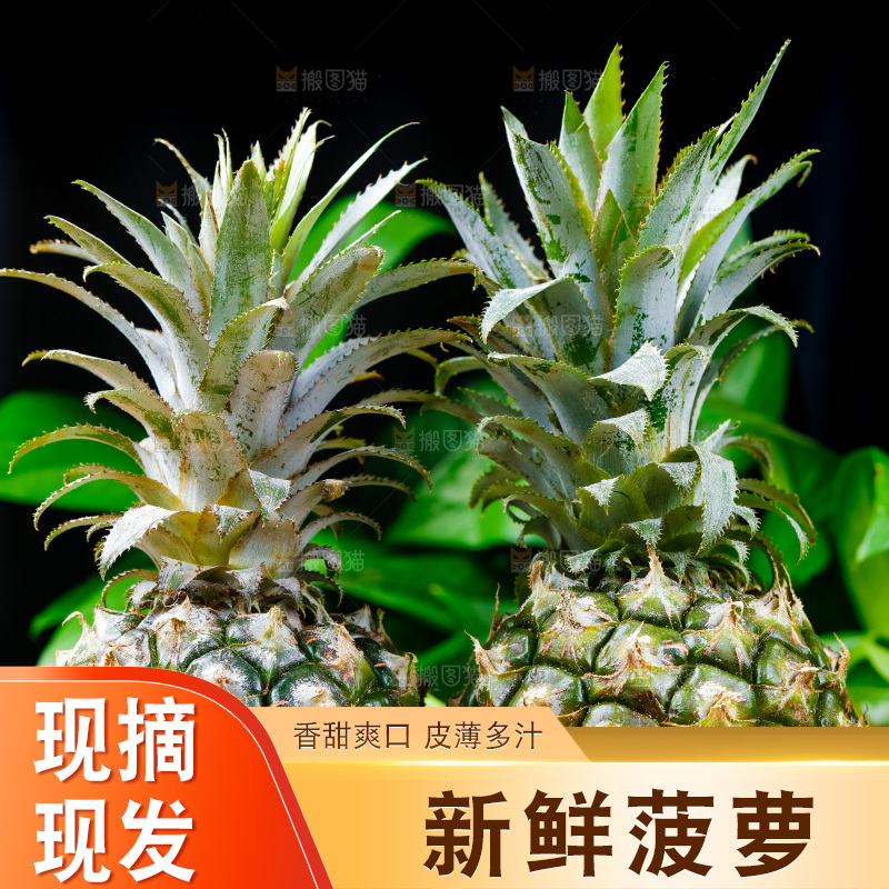 香水小菠萝放在木底上