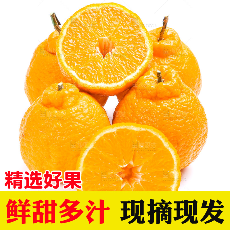 切开的四川丑橘放在白底上