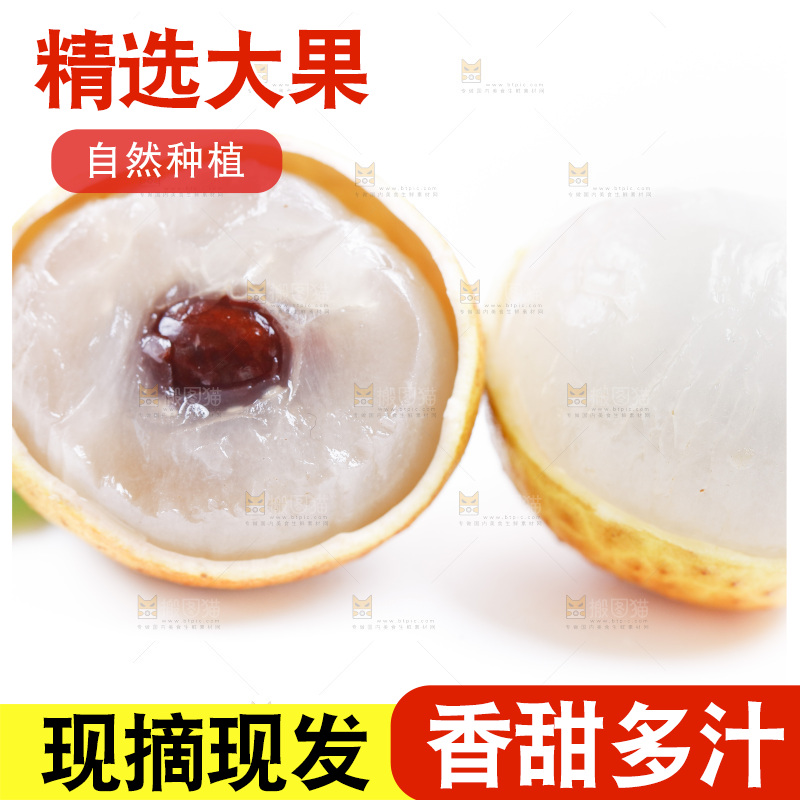 白底上的龙眼