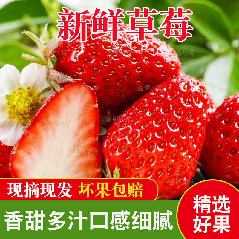 木底上放着丹东草莓