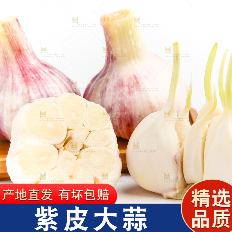 白底上的大蒜