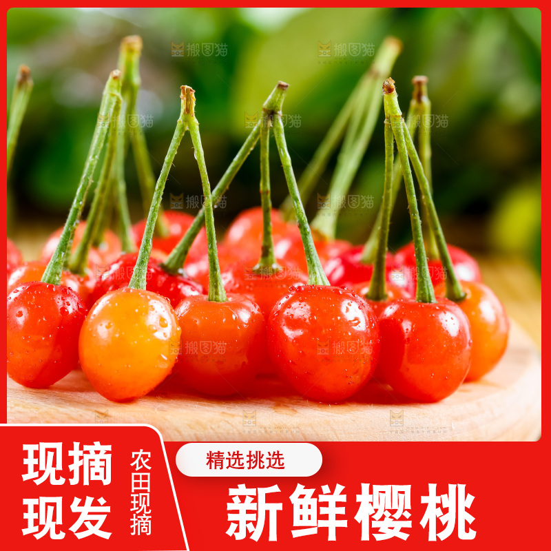 木底上放着烟台水晶黄樱桃