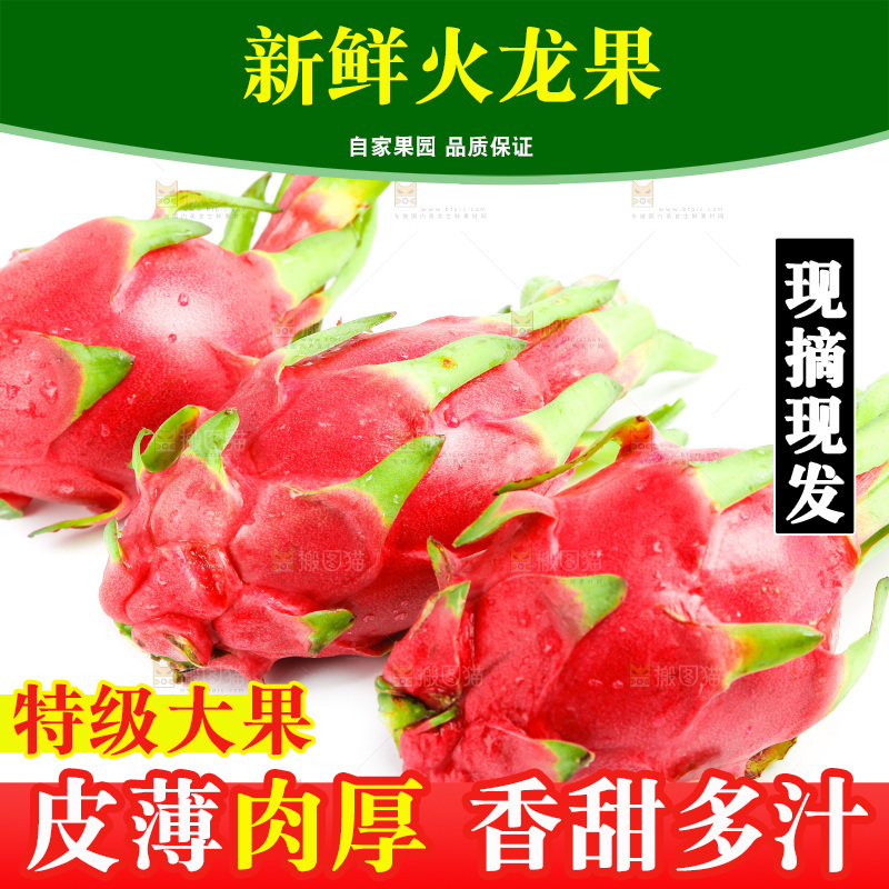 新鲜火龙果放在白底上