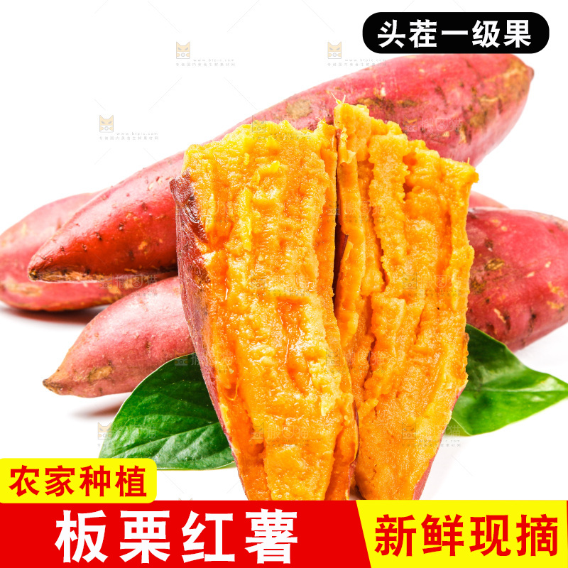 浅底上的蜜薯