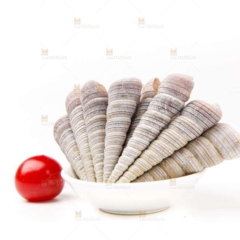 白底上的钉螺