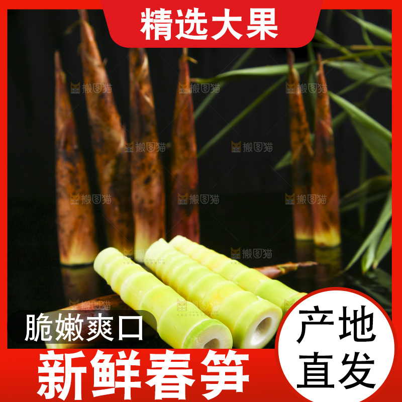 黑底上放着临安春笋
