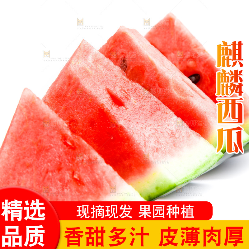 白底上放着8424麒麟瓜