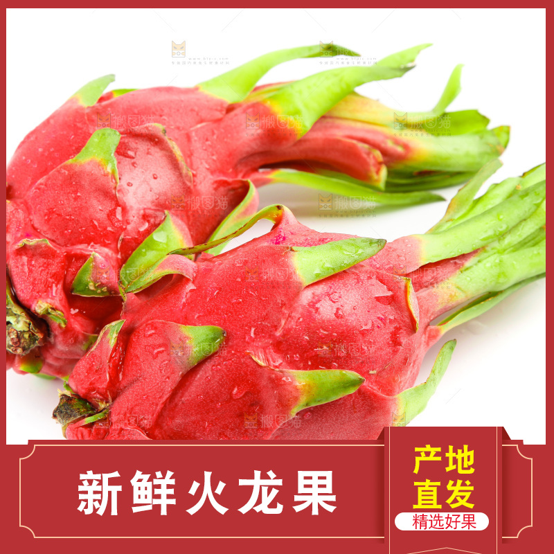 新鲜火龙果放在白底上