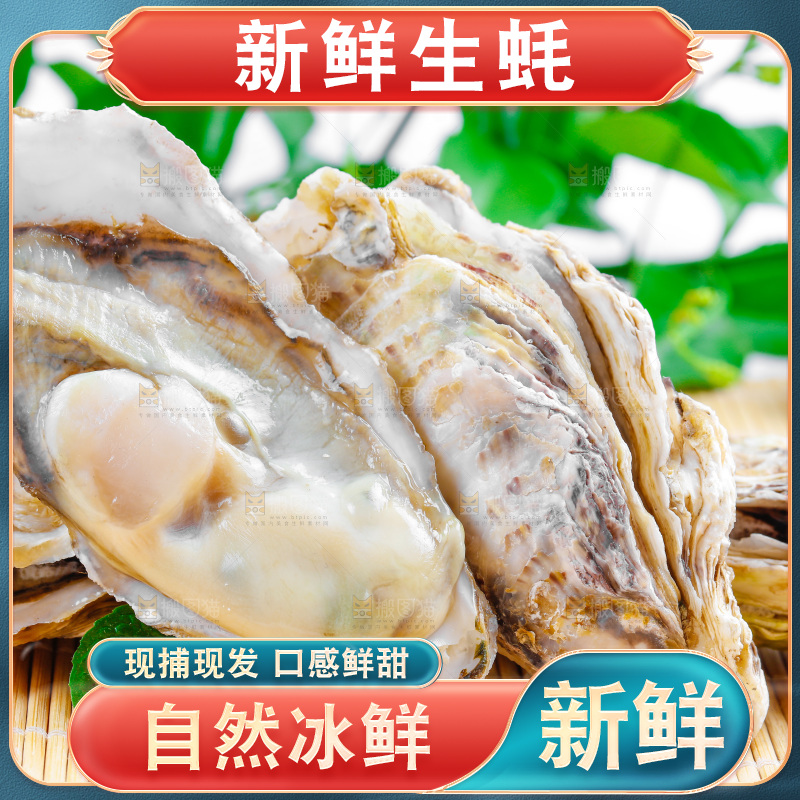 木底上放着海蛎子