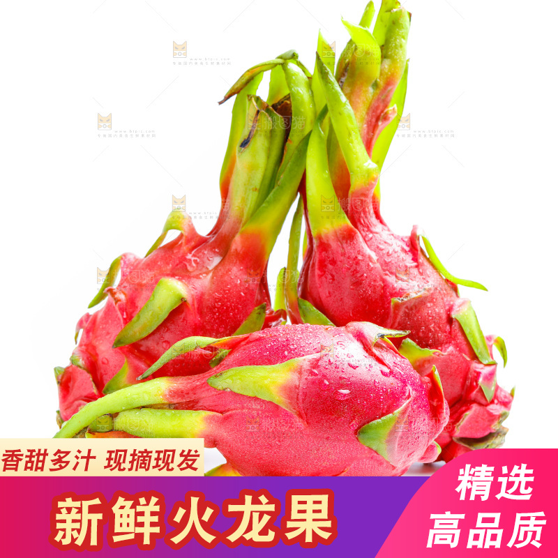 白底上的火龙果