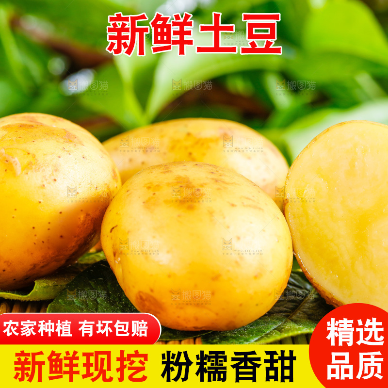 浅底上放着云南黄心土豆