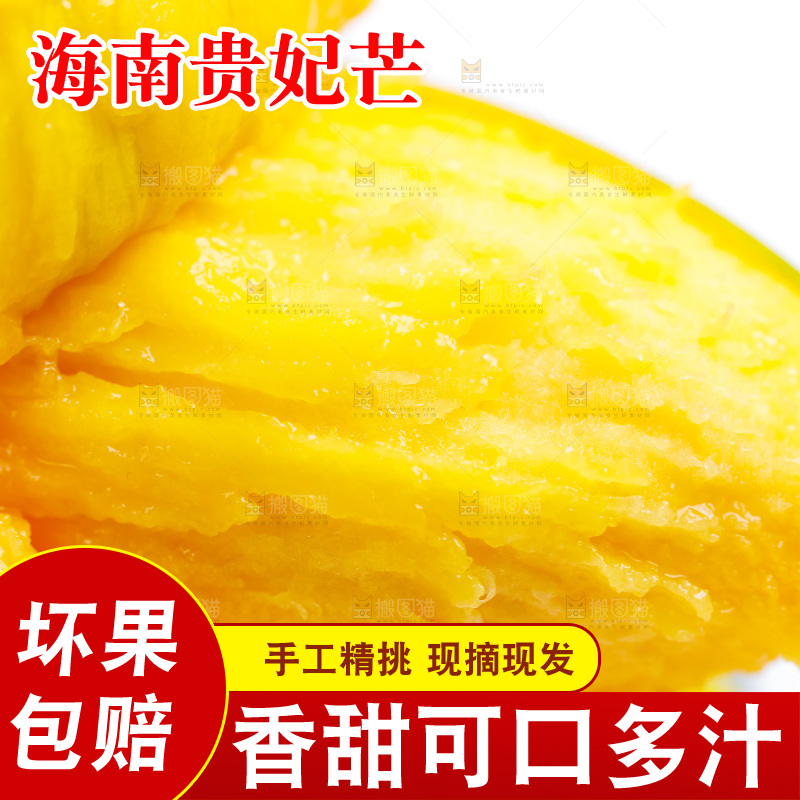 新鲜贵妃芒放在白底上