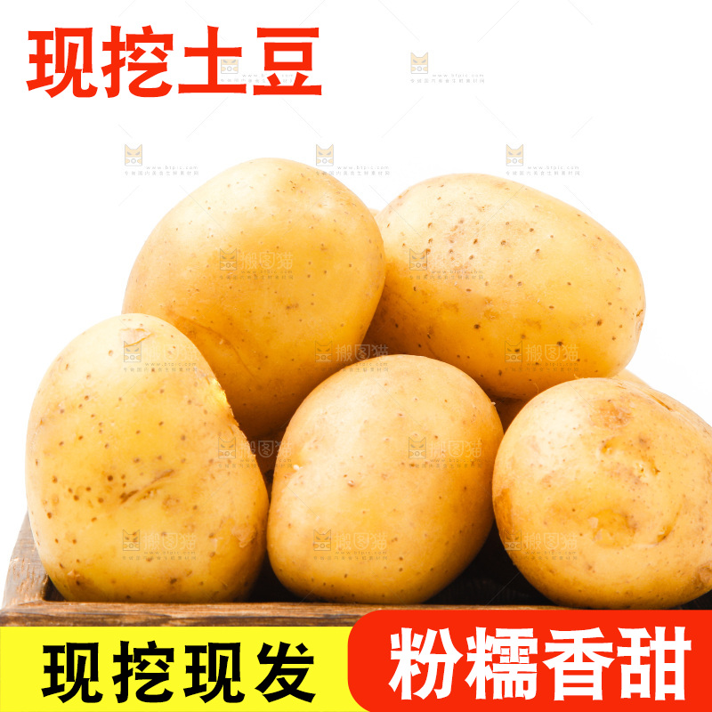 一盘新鲜土豆放在白底上